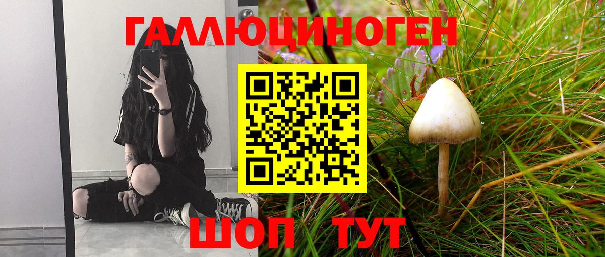 Ноябрьск  Галлюциногенные грибы Psilocybine cubensis  Галлюциногенные грибы Psilocybine cubensis  Вход с VPN 